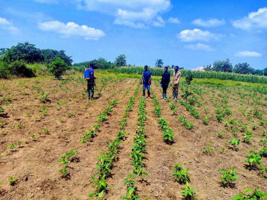 Department of Crop Science